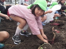 DSCF1436_コピー_コピー