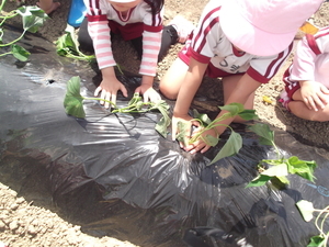 DSCF2112_コピー