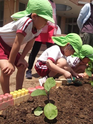 DSCF2137 (4)_コピー