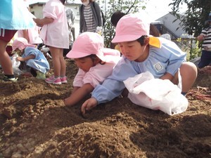 DSCF2891 (2)_コピー