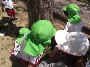 DSCF3846 (1)_コピー