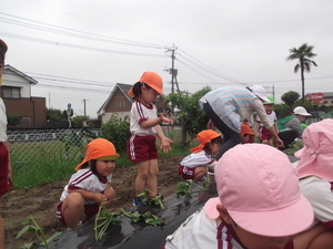 DSCF3952_コピー