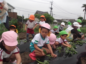 DSCF3953_コピー