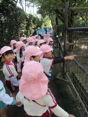 IMG_1039_LI_コピー