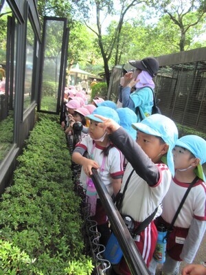 IMG_1064 (2)_コピー