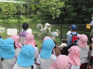 IMG_1112_LI_コピー