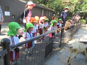 IMG_1189 (2)_コピー