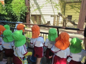 IMG_1179_LI_コピー