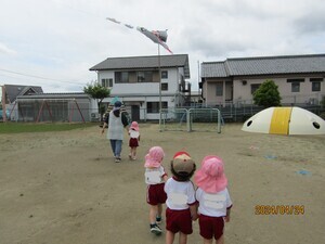 こいのぼり もも_コピー