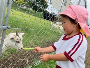 image9_コピー