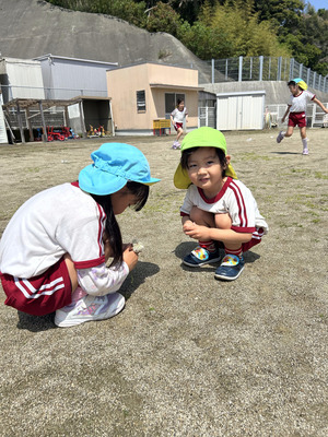 1-67b7fab7_コピー