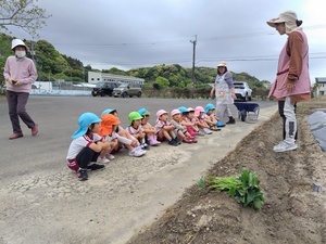 250422093447017_コピー