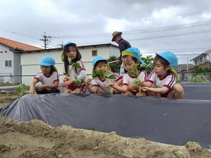 250422093846302_コピー