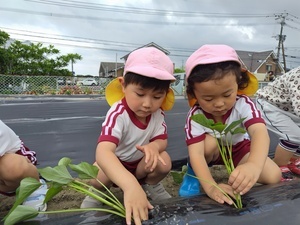 250422093932154_コピー