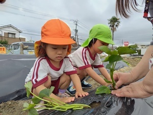 250422094013443_コピー